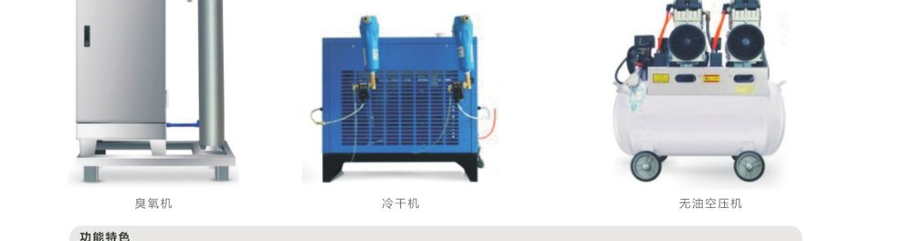 Ozone generator with air dryer and oil-free compressor